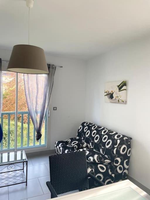 Appartement T2 Lumineux, Tres Bien Equipe, Proche Centre-Ville Salies-de-Béarn Εξωτερικό φωτογραφία