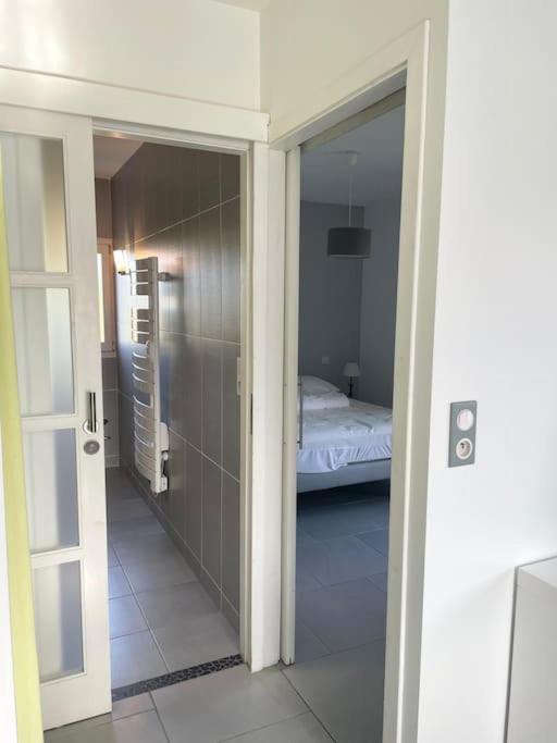 Appartement T2 Lumineux, Tres Bien Equipe, Proche Centre-Ville Salies-de-Béarn Εξωτερικό φωτογραφία