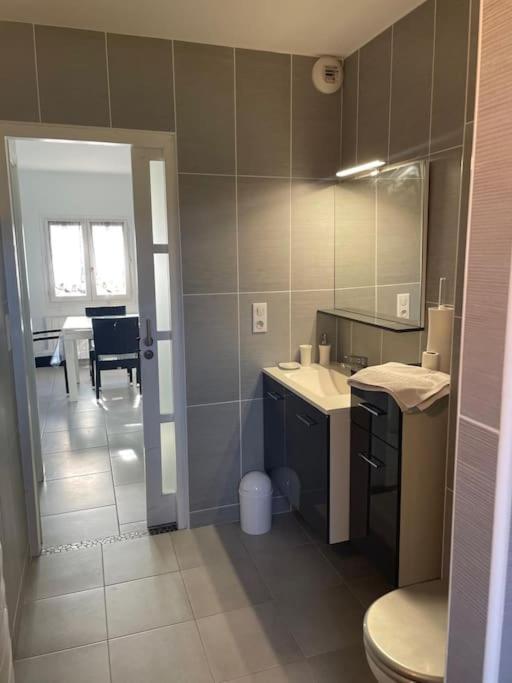 Appartement T2 Lumineux, Tres Bien Equipe, Proche Centre-Ville Salies-de-Béarn Εξωτερικό φωτογραφία